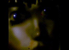 ooo9.GIF (19449 ֽ)