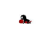 zzza3.GIF (965 ֽ)