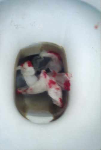 bloodpaper.JPG (7735 ֽ)