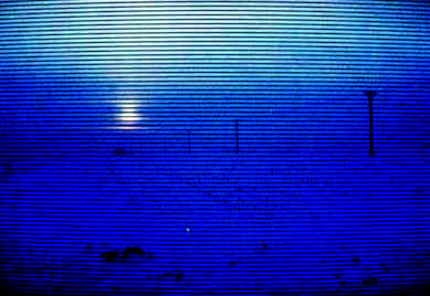 017.jpg (28481 ֽ)