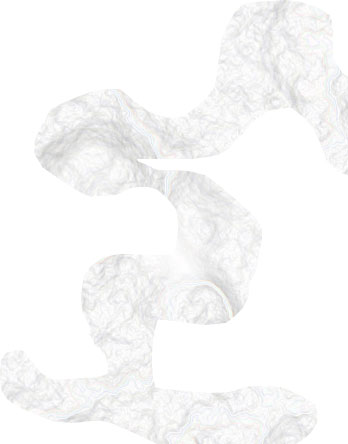 white5.jpg (13416 ֽ)